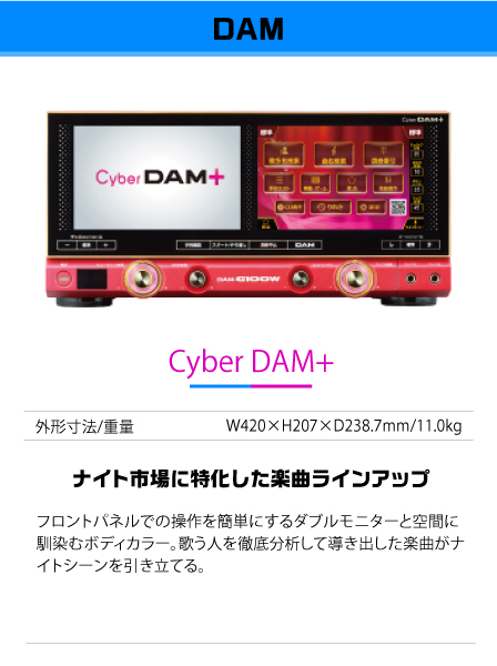 Cyber DAM+
