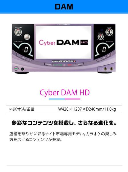 Cyber DAM HD